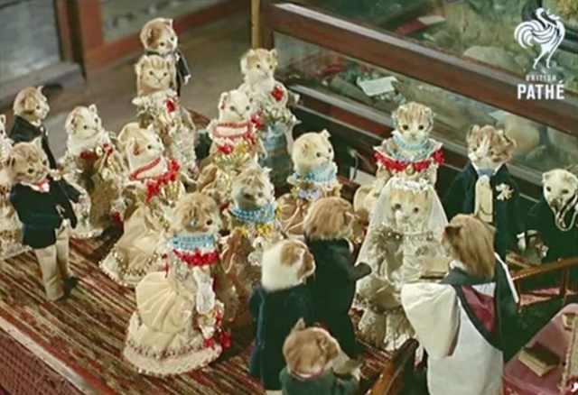 A screenshot showing kittens dressed for a wedding
