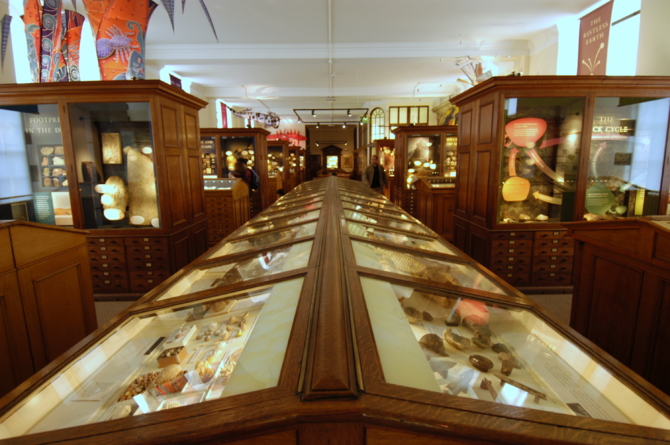 Museum gallery