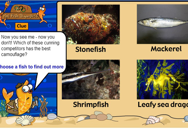 A screenshot showing several brightly coloured fish