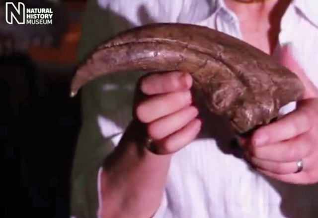 A screenshot showing a hand holding a dinosaur claw