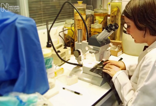 A screenshot showing a female scientist in a lab