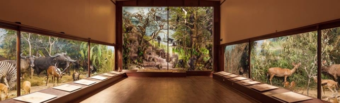 Gallery 1