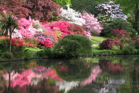 Exbury Gardens and Steam Railway