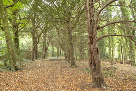 The Buscot and Coleshill Estates - National Trust