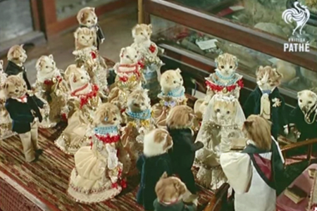 Crazy Taxidermy: Animals in Costumes