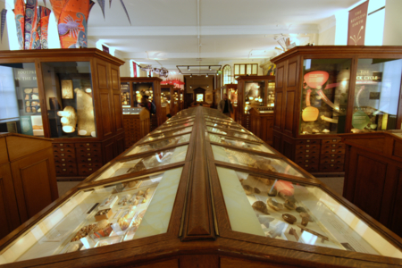 Sedgwick Museum of Earth Sciences