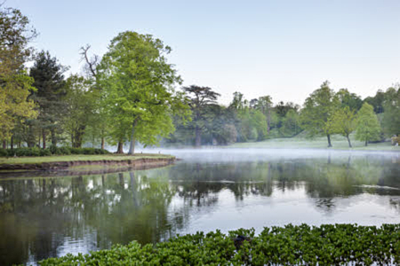 Claremont Landscape Garden - National Trust