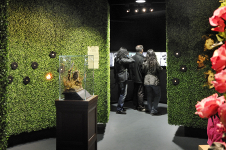 Florence Nightingale Museum