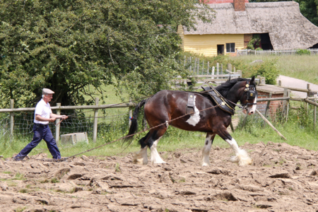 Chiltern Open Air Museum