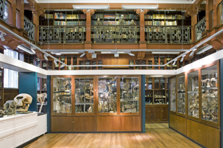 Grant Museum of Zoology