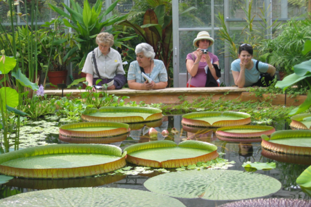University of Bristol Botanic Garden