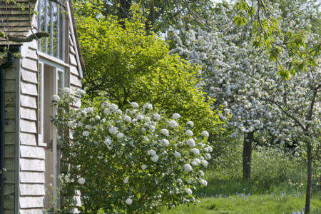 Monk's House - National Trust