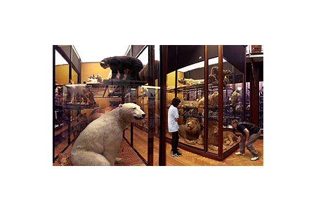 Natural History Museum at Tring