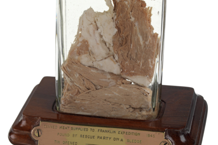 Meat sample from Franklin's last Arctic Expedition
