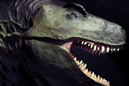The Dinosaur Museum