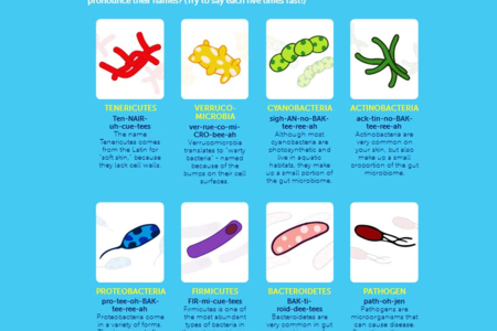 Learn about microbes with the Gutsy card game