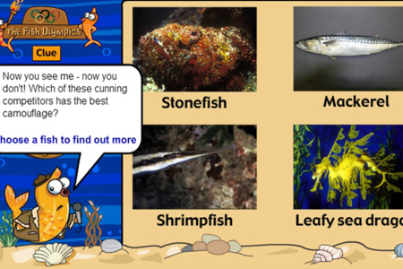 The Fish Olympics