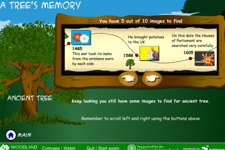 A tree's memory