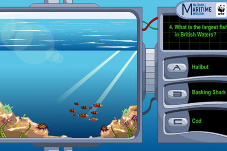 Planet Ocean Quiz
