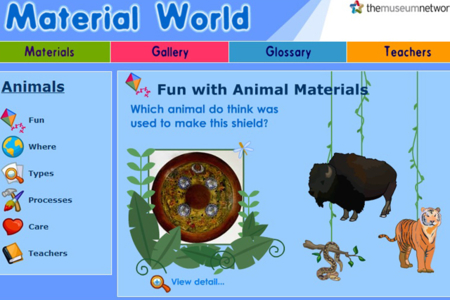 Fun With Animal Materials