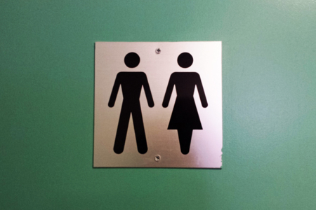 Toilets through the ages