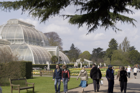 Royal Botanic Gardens, Kew