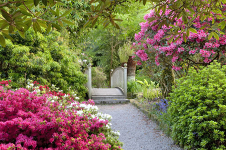 Trengwainton Garden - National Trust